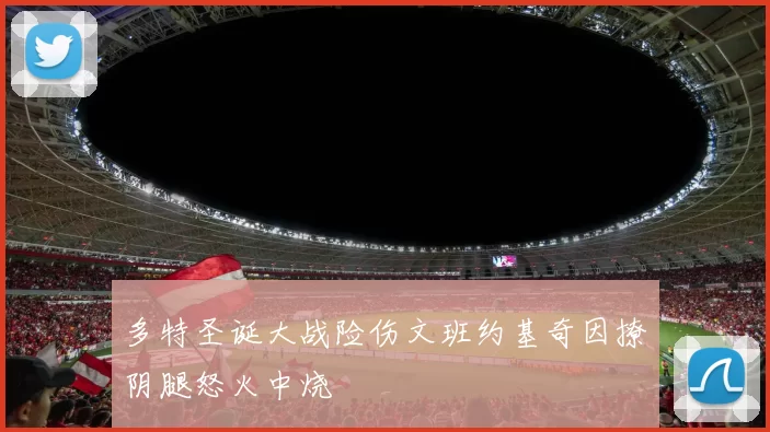多特圣诞大战险伤文班约基奇因撩阴腿怒火中烧